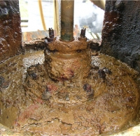 PX厂水处理设施 (2)