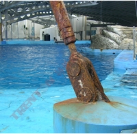 海洋公园钢构吊锁基础采精蜡防蚀(1)