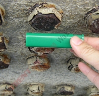 滨海钢构桥腹翼板 (2)