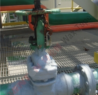 炼钢厂电炉区 (2)