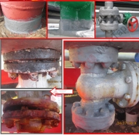 石化厂某洲岛上管线设施(2)